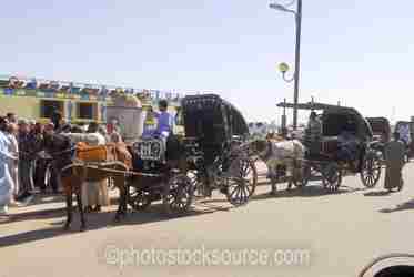 Egyptian Wagons & Carriages gallery