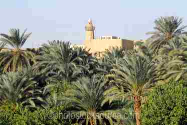 Egyptian Mosques gallery