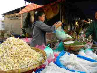 Luang Prabang Fresh Market gallery